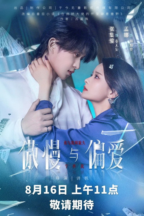傲慢与偏爱 — постер