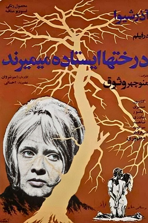 درختان ایستاده می‌میرند — постер