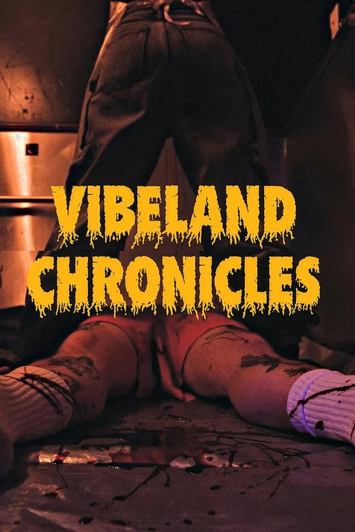 Vibeland Chronicles — постер