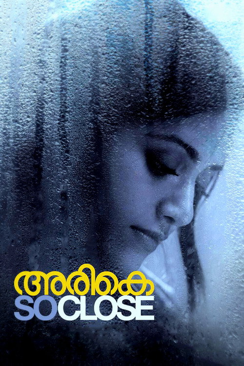 അരികെ — постер