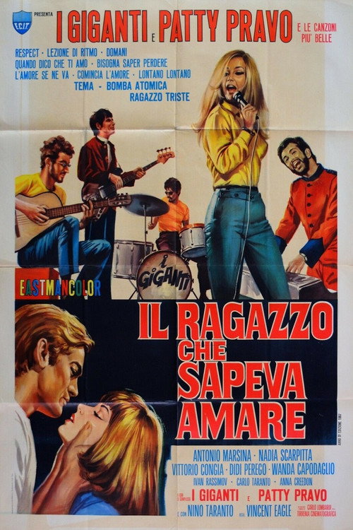 Il ragazzo che sapeva amare — постер