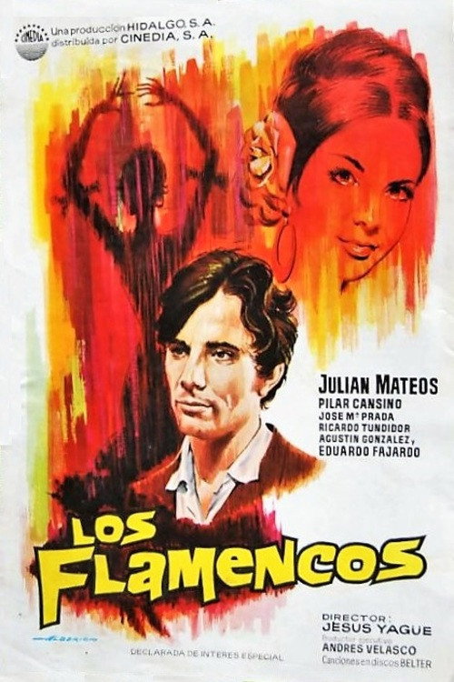 Los flamencos — постер