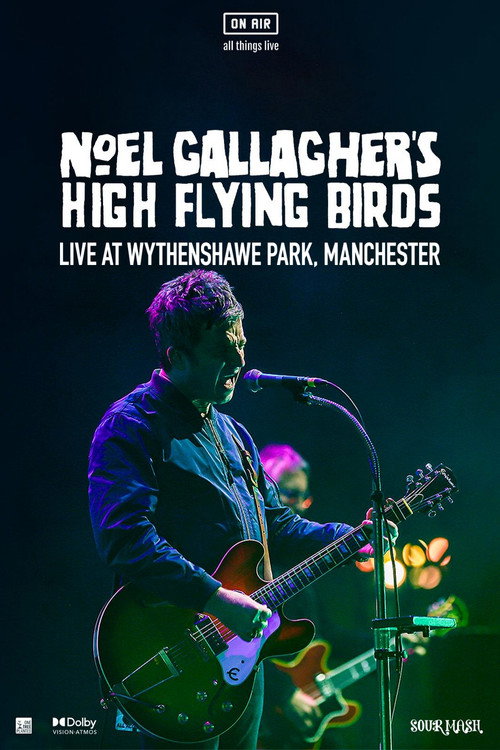 Noel Gallagher's High Flying Birds - Live at Wythenshawe Park, Manchester — постер