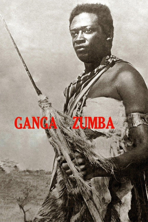 Ganga Zumba — постер