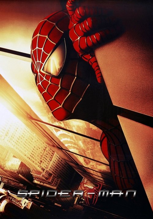 Spider-Man: The Mythology of the 21st Century — постер