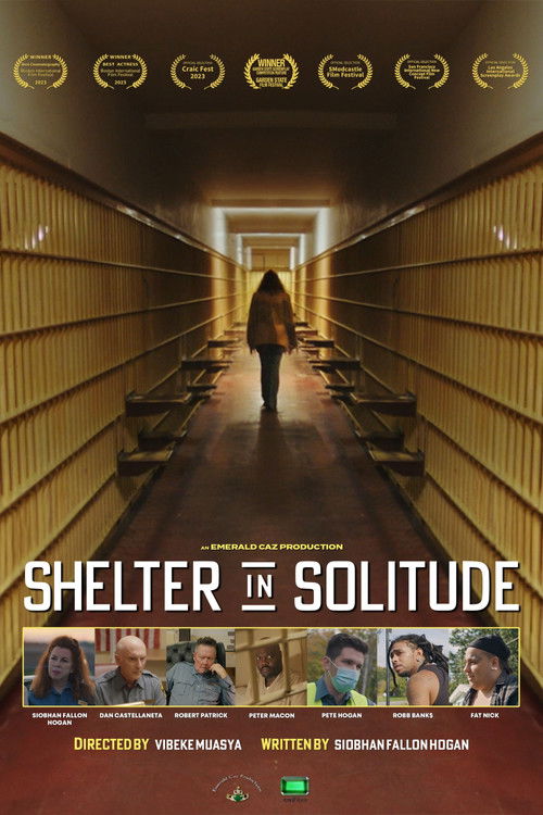 Shelter in Solitude — постер