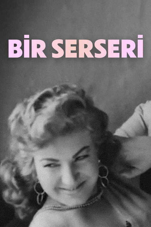 Bir Serseri — постер