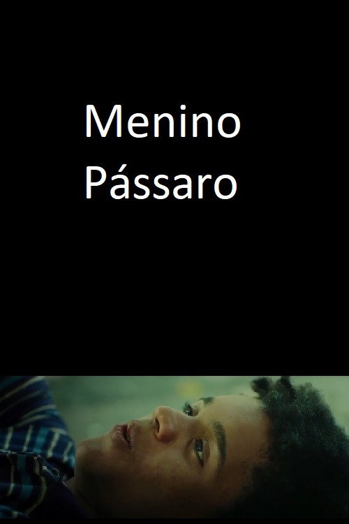 Menino Pássaro — постер