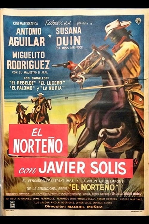 El jinete enmascarado — постер