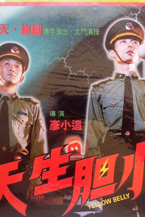 天生胆小 — постер