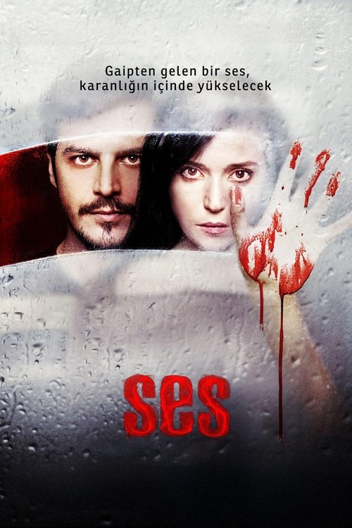 Ses — постер