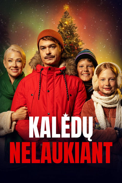 Kalėdų nelaukiant — постер