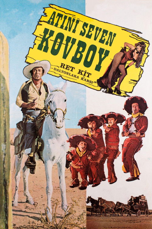 Atını Seven Kovboy — постер