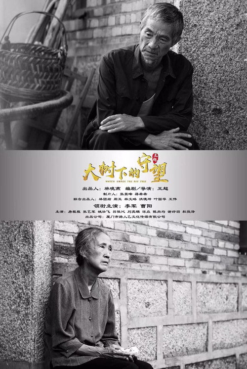 大树下的守望 — постер