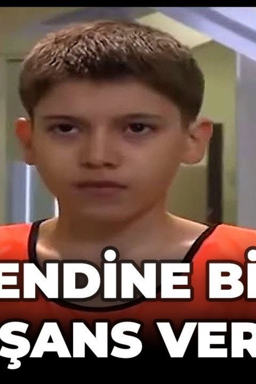 Kendine Bir Şans Ver — постер