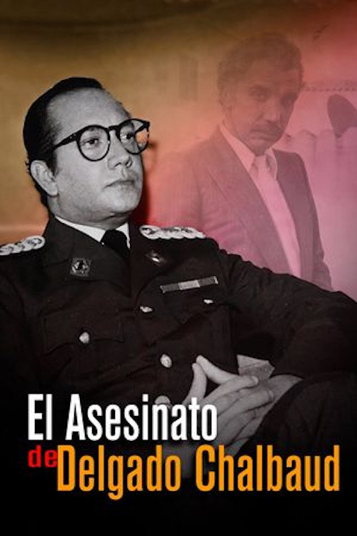 El asesinato de Delgado Chalbaud — постер