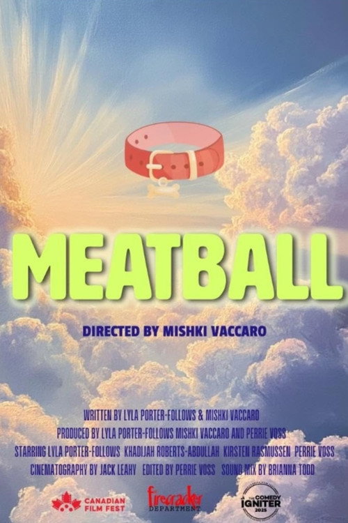 Meatball — постер