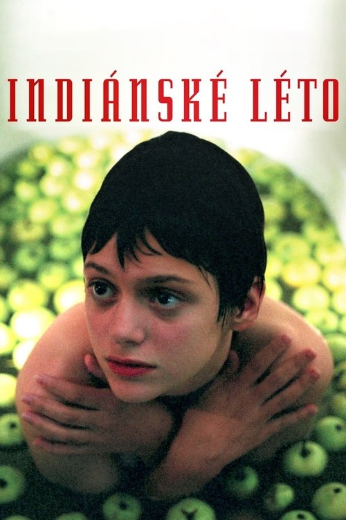 Indiánské léto — постер