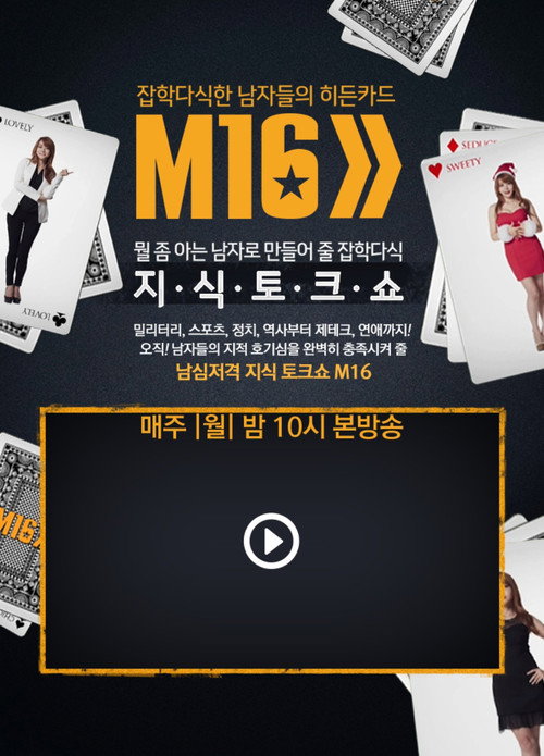 잡학다식한 남자들의 히든카드 M16 — постер