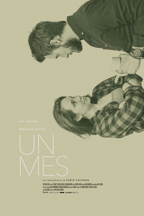 Un Mes — постер