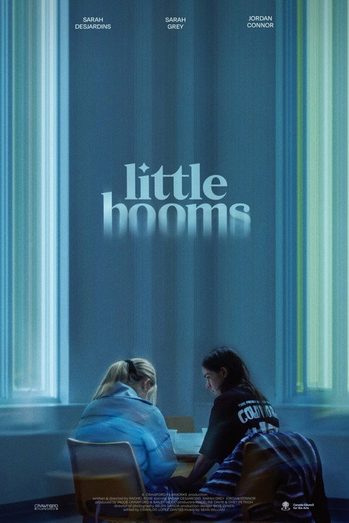 Little Booms — постер