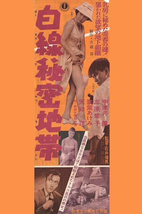 白線秘密地帯 — постер