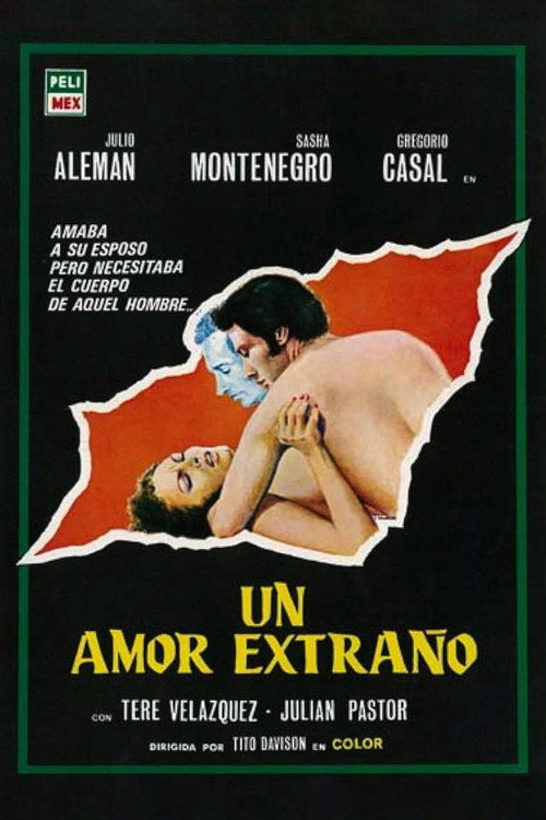 Un amor extraño — постер