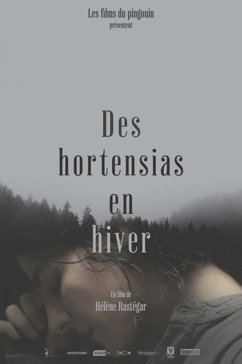 Des Hortensias en Hiver — постер