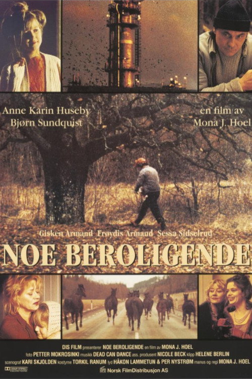 Noe beroligende — постер