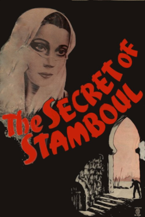 The Secret of Stamboul — постер