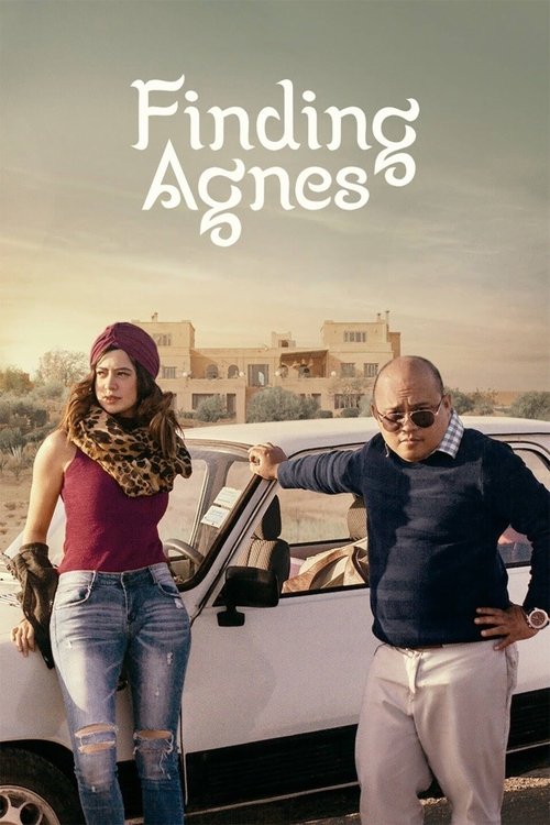 Finding Agnes — постер