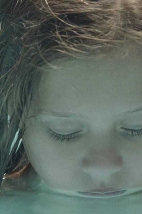 Frog — постер