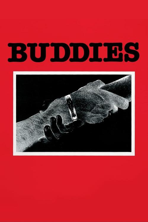 Buddies — постер