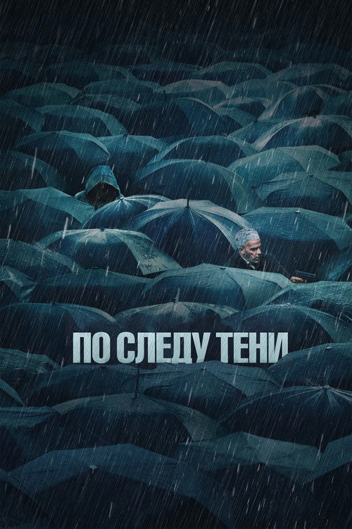 По следу тени — постер