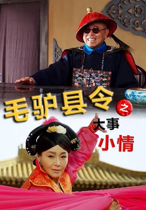 毛驴县令之大事小情 — постер
