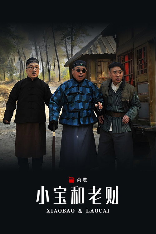 小宝和老财 — постер