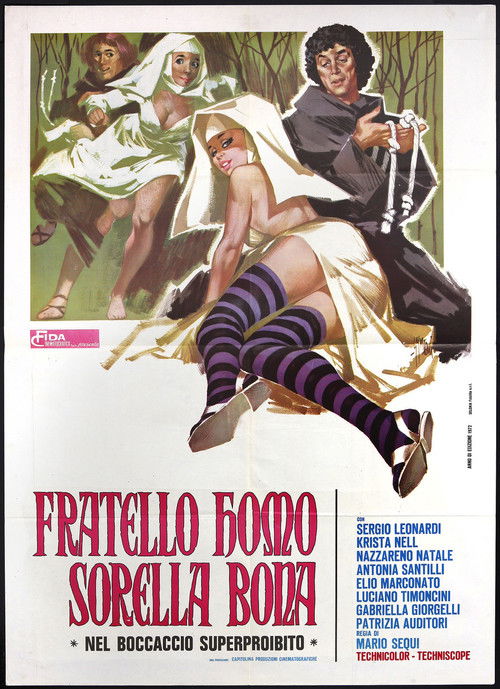 Fratello homo sorella bona — постер