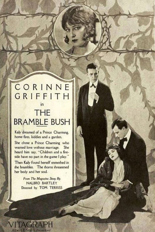 The Bramble Bush — постер