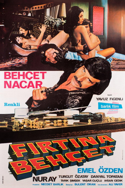 Fırtına Behçet — постер