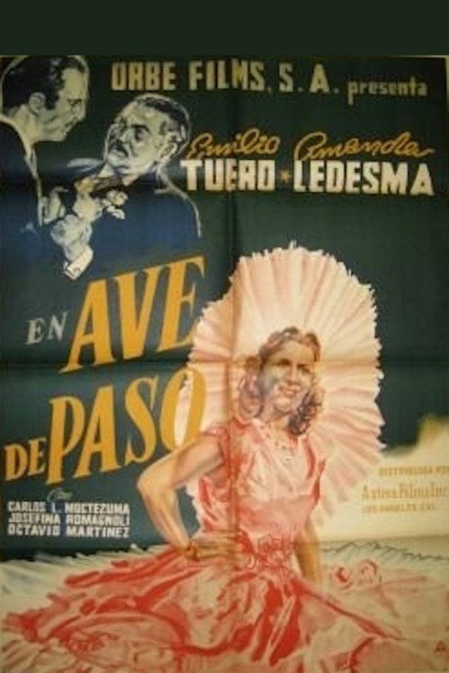 Ave de paso — постер
