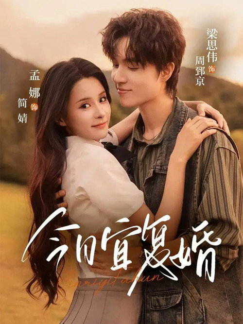 今日宜复婚 — постер