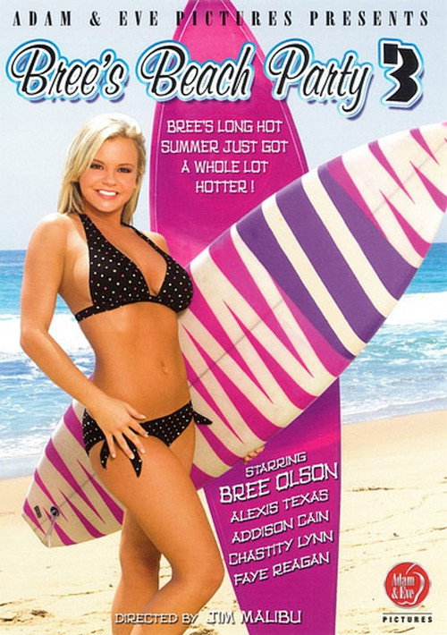 Bree's Beach Party 3 — постер