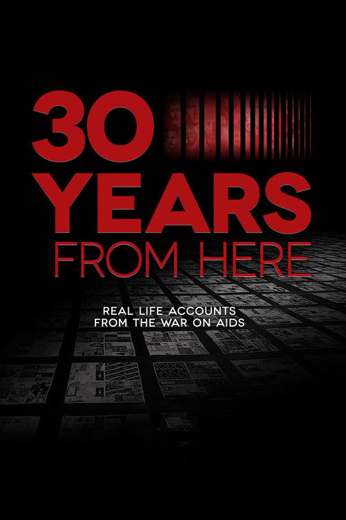 30 Years from Here — постер