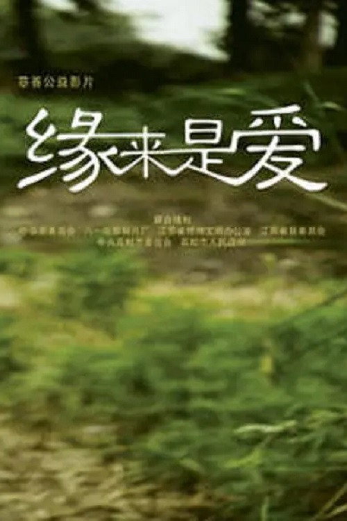 缘来是爱 — постер