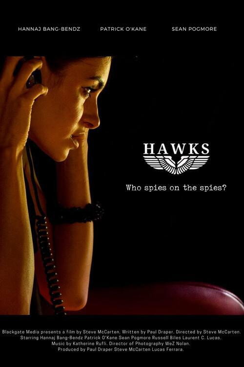 Hawks — постер