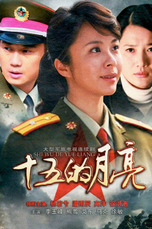 十五的月亮 — постер