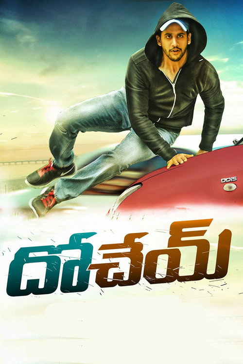 దోచేయ్ — постер