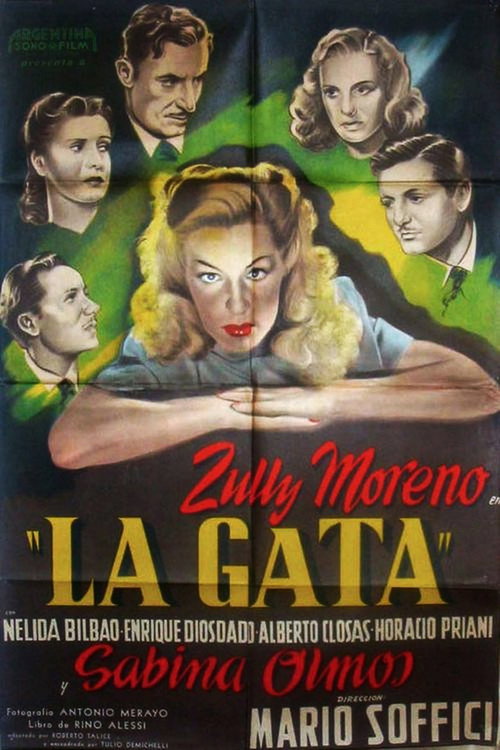 La gata — постер