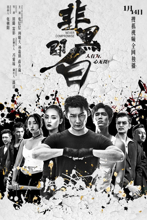 非黑即白 — постер