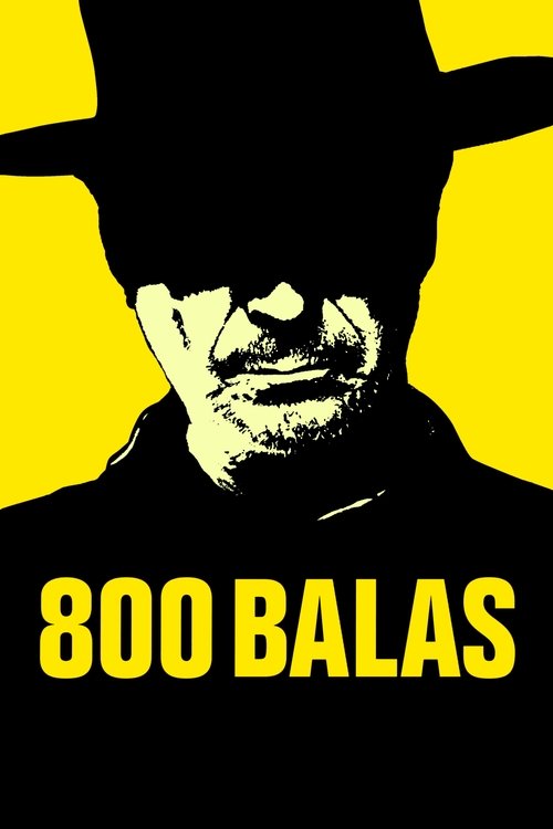 800 пуль — постер